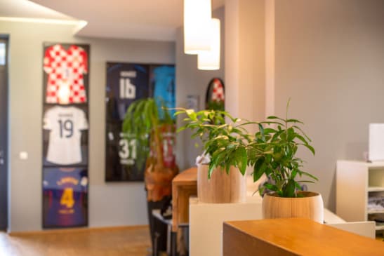 Physical therapy session